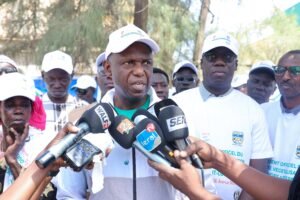 Lancement du projet de végétalisation des grandes artères de Saint-Louis