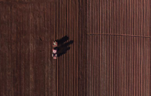 Zimbabwe : des agriculteurs blancs se tournent vers Donald Trump pour hâter leur compensation