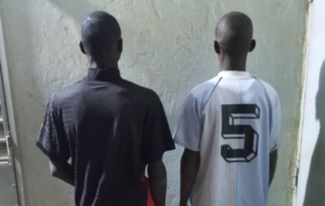 Trafic de drogue à Kédougou : quatre suspects, dont deux orpailleurs, interpellés par l’OCRTIS.