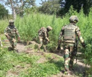 Mort de militaires en Casamance : les femmes de la région dénoncent une situation sécuritaire préoccupante