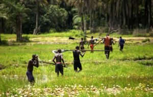 Casamance : religieux et acteurs de la société civile mobilisés pour renforcer la participation citoyenne