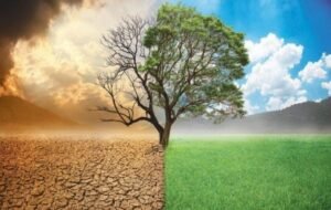 Transition durable : le Sénégal à l’épreuve du changement climatique