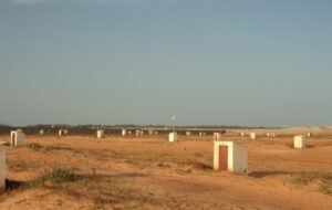 Investissement : terrains vs entreprises au Sénégal — où se cache la meilleure rentabilité ?