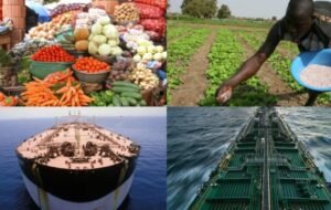 Inflation, engrais, dettes : l’Afrique sous pression face au conflit au Moyen-Orient