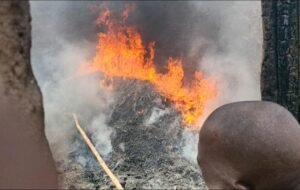 Saraya : des dizaines de concessions parties en fumée dans un incendie à Toubacouta