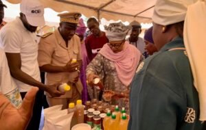 Financements, emplois et remboursement : la DER/FJ dresse le bilan du programme « BE YES » sur le terrain