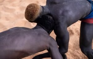 Sénégal : les Lions s’envolent pour Alexandrie afin de disputer les Championnats d’Afrique de Beach Wrestling