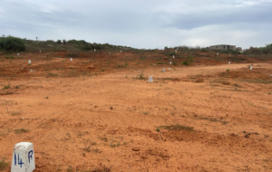 Toubab Dialaw : diaspora et autorités locales font bloc pour préserver les terres