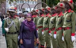 « Afrique du Sud : la présidente tanzanienne répond politiquement aux violences xénophobes »