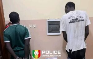 Kaolack : un réseau de trafic de drogue démantelé, 15 kg de chanvre indien saisis par la BRS