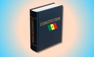 Transparence institutionnelle : la déclaration de patrimoine bientôt consacrée par la Constitution