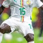 Mercato : Crystal Palace, l’OM… ce Lion qui enflamme le marché des transferts