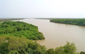 Fleuve Gambie : hausse des eaux à plusieurs stations, mais aucun seuil d’alerte dépassé