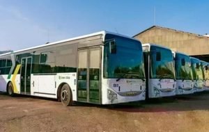 Gamou 2026 : Dakar Dem Dikk Dresse Un Bilan Positif Avec Plus De 42 000 Pèlerins Transportés