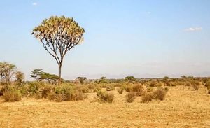 Climat : Yoff débloque 30 millions de FCFA pour accompagner les initiatives des jeunes