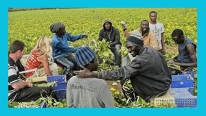 Espagne-Sénégal : 200 travailleurs sénégalais sur le chemin du retour après une saison réussie