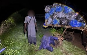 Mbour : un charretier armé d’une machette interpellé, 427 kg de chanvre indien interceptés