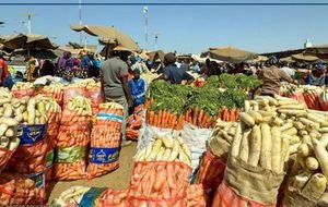 Production, stocks, prix : un dispositif révolutionnaire pour mieux anticiper les marchés