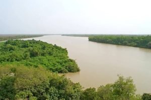 Risques d’inondation : Cheikh Tidiane Dièye appelle à la prudence face à la crue des fleuves Sénégal et Gambie